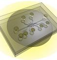 This illustration shows the design of a new chip capable of simulating a tumor's 'microenvironment' to test the effectiveness of nanoparticles and drugs that target cancer. The new system, called a tumor-microenvironment-on-chip device, will allow researchers to study the complex environment surrounding tumors and the barriers that prevent the targeted delivery of therapeutic agents.