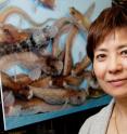University of Illinois animal biology professor Chi-Hing (Christina) Cheng and her colleagues discovered that the proteins that bind to ice crystals inside the bodies of Antarctic fishes to keep the fishes from freezing also prevent the ice from melting at higher temperatures.