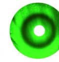 Bacterial lawns display green fluorescent ring ("circular stripe," left) as a function of a chemical gradients from central paper disks (white) or an anti-ring ("circular anti-stripe," right).