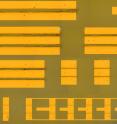 These are optical images of individual SWCNT field-effect transistors.