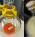 Formation of the reactive borane-silane adduct at -80 Celsius is indicated by a color change.