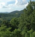This is a view of scenic eastern US forest.