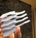 This is a 3D-printed model using data from actual endoplasmic reticulum sheets.