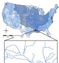 The 1:100,000 NHDPlusV1 stream network over the conterminous US. The Mississippi basin is emphasized dark blue. The inserted box shows an example of complexity within stream networks, including braided streams.