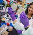 Aindrila Mukhopadhyay and Heather Jansen engineer <i>E. coli</i> to produce biogasoline at JBEI.