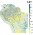 This image shows change in Amazon greenness from 2000 to 2012, measured as Normalized Difference Vegetation Index. Greener colors represent increased greenness, gray is no change, and yellow represents decreased greenness over the 13-year record.