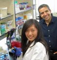 University of Utah physics doctoral student Xiaolin Tang and virologist Saveez Saffarian in the lab where they identified an exotic mechanism that may explain how a group of viruses that includes Ebola replicate or make copies of themselves to make people sick.