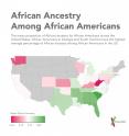 This infographic illustrates the mean proportion of African ancestry for African Americans across the United States. African Americans in Georgia and South Carolina have the highest average percentage of African ancestry among African Americans in the US.