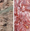 The researchers took an unusual approach to find the mineral needed to construct the timeline for the start of the main Deccan Traps eruption. They compared the existing ratio of uranium to lead in petrified lava flows known as basalts given the known rate at which uranium decays over time. To have enough uranium, however, the researchers needed the mineral zircon, which is scarce in basalts that cooled quickly. Turning to new sources, the researchers found zircon in soil deposits known as red boles (right) that formed in between eruptions and contain volcanic ash (left) that had been trapped between lava flows. They also located zircon within thick basalt flows where lava would have cooled more slowly.