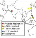 Introduction of transgenic crops producing two or more Bt toxins has been spurred in part by pest resistance to transgenic crops that produce only one toxin. Red circles show the seven cases where pest resistance has reduced control of a target pest by a Bt crop, the other circles depict the resistance status in 20 other cases.