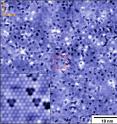 This is a topographic image of chromium dopant-atom locations at the topological insulator surface.