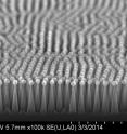 Details of the nanotextured antireflective surface as revealed by a scanning electron microscope at the Center for Functional Nanomaterials. The tiny posts, each smaller than the wavelengths of light, are reminiscent of the structure of moths' eyes, an example of an antireflective surface found in nature.
