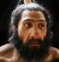 A reconstruction of <i>Homo neanderthalensis</i>, as created by artist John Gurche for the Smithsonian's National Museum of Natural History. A study led by University at Buffalo biologist Omer Gokcumen compared the DNA of modern humans to Neanderthals and Denisovans (another ancient hominin). The research found that genetic deletions associated with various aspects of human health, including psoriasis and Crohn's disease, likely originated in a common ancestor of the three species.