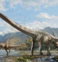 This illustration shows what the newly discovered long-necked dinosaur may have looked like.