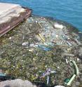 This is debris from urban activities and runoff accumulates at the edge of Lake Michigan.