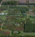 This is an aerial view of the Aspen Free-Air Carbon dioxide and ozone Enrichment (Aspen FACE) experiment site once located near Rhinelander, Wisconsin. The circular plots consist of aspen and birch trees, surrounded by PVC pipes that allowed scientists to vent carbon dioxide and ozone gas into the air around the trees, to study what effect high levels of gas have on the activity of insects that feed on them.