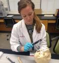 Forensic anthropology lab technician Kristen Chew works with a human skull in the Ross Lab at NC State University.