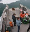A team of research assistants, a boat captain and the mooring engineer prepare to deploy an underwater microphone in Icy Bay, Alaska.