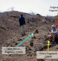 Hilary Sale and paper co-author Matthew Skinner pose at the Koobi Fora site in Kenya where they uncovered the ancient fossils.