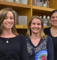 The Scripps Research Institute's Assistant Professor Katja Lamia, Research Associate Anne-Laure Huber and Graduate Student Stephanie Papp (left to right) were key authors of the new study