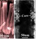 These are high performance supercapacitor electrodes.
Left: field emission scanning electron microscope and transmission electron microscope micrographs; Right: sectional view of single hybrid nanostructure.