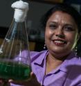 Rice University's Meenakshi Bhattacharjee said the use of wastewater is one of the most promising solutions for eliminating the algae industry's dependence on chemical fertilizers.