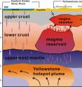 A new University of Utah study in the journal <i>Science</i> provides the first complete view of the plumbing system that supplies hot and partly molten rock from the Yellowstone hotspot to the Yellowstone supervolcano. The study revealed a gigantic magma reservoir beneath the previously known magma chamber. This cross-section illustration cutting southwest-northeast under Yelowstone depicts the view revealed by seismic imaging. Seismologists say new techniques have provided a better view of Yellowstone's plumbing system, and that it hasn't grown larger or closer to erupting. They estimate the annual chance of a Yellowstone supervolcano eruption is 1 in 700,000.