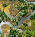 The Two Hearted River, in Michigan's Upper Peninsula. Restoration efforts in the Two Hearted River Watershed include the removal of impassable road culverts to restore aquatic ecosystem connectivity.