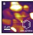 The quality of the perovskite materials for electronic device applications improved after chemical treatment, remediating the "dark" areas.