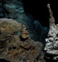 Image of a hydrothermal vent field along the Arctic Mid-Ocean Ridge, close to where 'Loki' was found in marine sediments. The hydrothermal vent system was discovered by researchers from the Centre for Geobiology at University of Bergen (Norway).