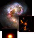 The Antennae galaxies, shown in visible light in a Hubble image (upper image), were studied with ALMA, revealing extensive clouds of molecular gas (center right image). One cloud (bottom image) is incredibly dense and massive, yet apparently star free, suggesting it is the first example of a prenatal globular cluster ever identified.