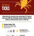 This is a tick infographic.