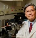 Researchers from the University of Missouri, led by Tzyh-Chang Hwang, Ph.D., have identified a key component in the protein that causes cystic fibrosis. It is a finding that may lay the foundation for the development of new medications and improved therapies.