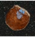 This is a still from a simulation of a Type Ia supernova. In the simulation, a Type Ia supernova 
explodes (dark brown color). The supernova material is ejected outwards at a velocity of
about 10,000 km/s. The ejected material slams into its companion star (light blue). Such a
violent collision produces an ultraviolet pulse which is emitted from the conical hole carved out by the companion star.