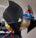 A new robot sonar prototype is inspired by the movable ears and noses that make up the echolocation systems of horseshoe bats.