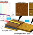 The novel heterogeneous wavelength tunable laser diode consists of QD technology and silicon photonics.