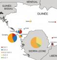 This is a map of Ebola virus variants circulating in Guinea and Sierra Leone.