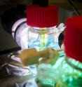 The UT Arlington team developed a new solar cell that is more efficient and can store solar energy even at night.