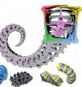 Models demonstrate that a seahorse tail with its flexible and square structure can outperform some cylindrical types of tails.