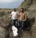 Dr. Michael Ryan (left) of the Cleveland Museum of Natural History and Dr. David Evans (right) of the Royal Ontario Museum, are co-authors of research describing <em>Wendiceratops pinhornensis</em>.