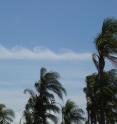 The classic surfer's wave -- known as Kelvin-Helmholtz waves -- can be seen all around in nature, such as in these clouds.