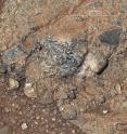 Igneous clast named Harrison embedded in a conglomerate rock in Gale crater, Mars, shows elongated light-toned feldspar crystals. The mosaic merges an image from Mastcam with higher-resolution images from ChemCam's Remote Micro-Imager.