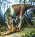 <em>Gorgosaurus</em> is shown using its specialized teeth for feeding on a young <em>Corythosaurus</em> in Alberta, 75 million years ago.