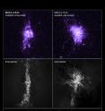 Top: Actual Hubble observations of gas density in the central portion of two galaxies. Bottom: Computer simulations of knots of star formation in the two galaxies show how gas falling into a galaxy's center is controlled by jets from the central black hole.