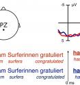 If the first noun in a sentence without a clear case marker (Bertram) does not refer to the agent, the brain activity is stronger (see blue curve).