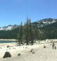 This image shows an abnormally low lake level at Horseshoe Lake in the high-elevation Mammoth Lakes Basin, Sierra Nevada Mountains, This photo was taken June 2015.