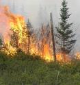 This image shows a fire spreading across a boreal forest. Forecasts for most boreal forest regions suggest an increase in fire severity or extent.