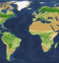 This is the global map of tree density at the square-kilometer pixel scale.