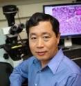 This is Kezhong Zhang, Ph.D., assistant professor at Wayne State University School of Medicine's Center for Molecular Medicine and Genetics.