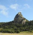 This is a volcanic plug in Cape Hillsborough National Park, Queensland.